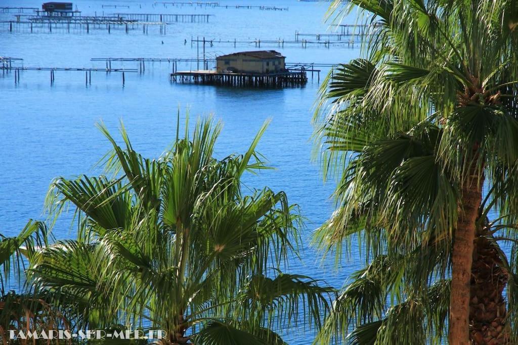 Port Tamaris, Le Troisieme Appartement La Seyne-sur-Mer Buitenkant foto